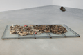 STUART BRISLEY, Installation at Algus Greenspon, 2011