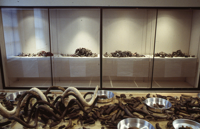 STUART BRISLEY, The Collection of Ordure , 2002, Freud Museum London